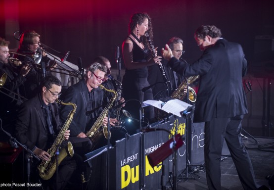 Multicolored ELLINGTON